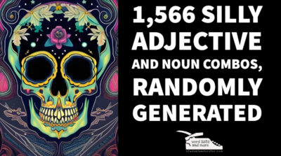 Read more about the article 1,566 silly adjective and noun combos, randomly generated