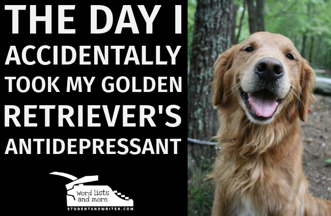 The Day I Accidentally Took My Dog’s&nbsp;Antidepressant