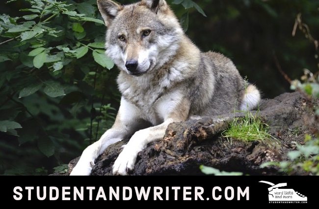 A foraging word list of Thanksgiving&nbsp;adjectives