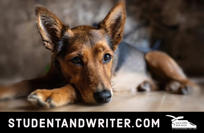 Kingdom Keepers 2 – Book&nbsp;Review