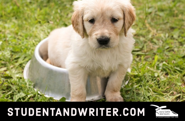 Day 5; shoulder surgery&nbsp;Diary