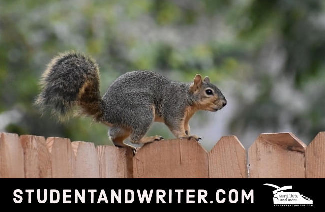 Funny adjective/noun combos for empowering sock&nbsp;gnomes