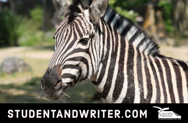 Cedar Point’s Gatekeeper Coaster: Our Ride&nbsp;Review