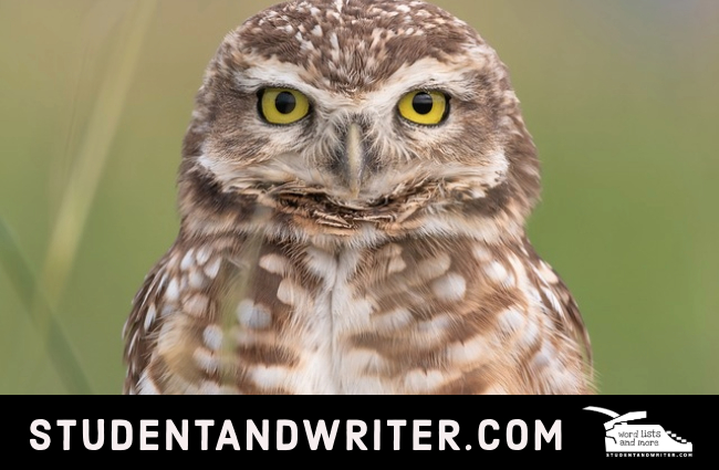 A Nostalgic Journey Through Iconic Game&nbsp;Systems