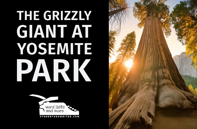The Grizzly Giant at Yosemite&nbsp;Park