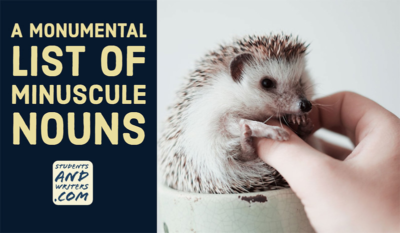 A monumental list of minuscule nouns