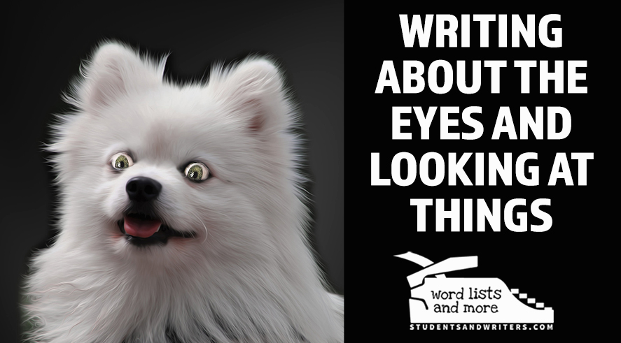 Writing about the eyes and looking at&nbsp;things