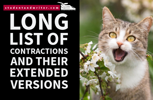 Long list of contractions and their extended&nbsp;versions