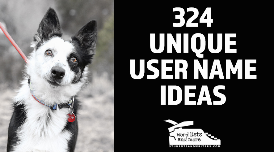 324 Unique User Name&nbsp;Ideas