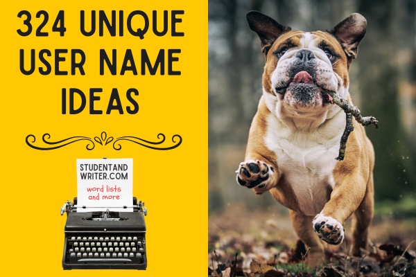 324 Unique User Name&nbsp;Ideas