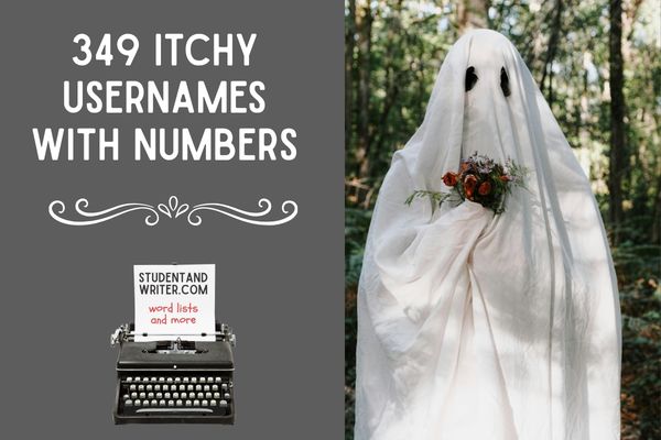 349 Itchy usernames with numbers