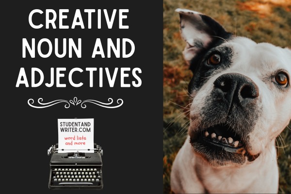 100 Creative Adjective and Noun Pairs for&nbsp;Writers
