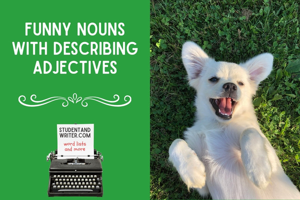 Funny Nouns with Describing&nbsp;Adjectives