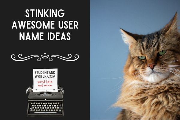 Stinking Awesome User Name Ideas