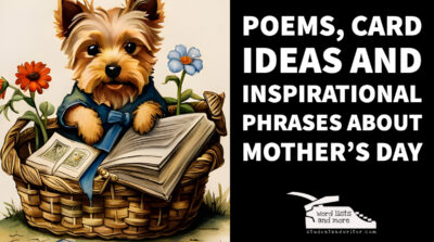 Read more about the article Poems, Card Ideas and Inspirational phrases about Mother’s Day