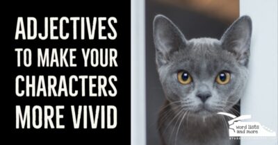 Read more about the article Adjectives to Make Your Characters More Vivid