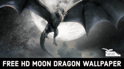 Read more about the article Free HD Moon Dragon Wallpaper