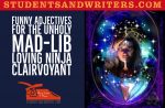 Funny Adjectives for the unholy mad-lib loving Ninja clairvoyant