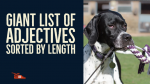 Giant list of adjectives sorted by length