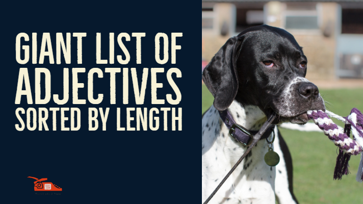You are currently viewing Giant list of adjectives sorted by length