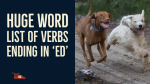 Huge word list of Past Tense Verbs ending in ‘ed’