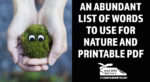 An abundant list of words to use for nature and Printable PDF